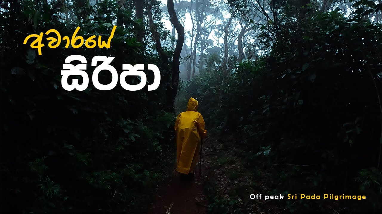 අවාරේ සිරිපා කරුණාව | Aware Siripa | සදගලතැන්න හරහා මහ කැලේ මැදින් | @traveljoduwa 