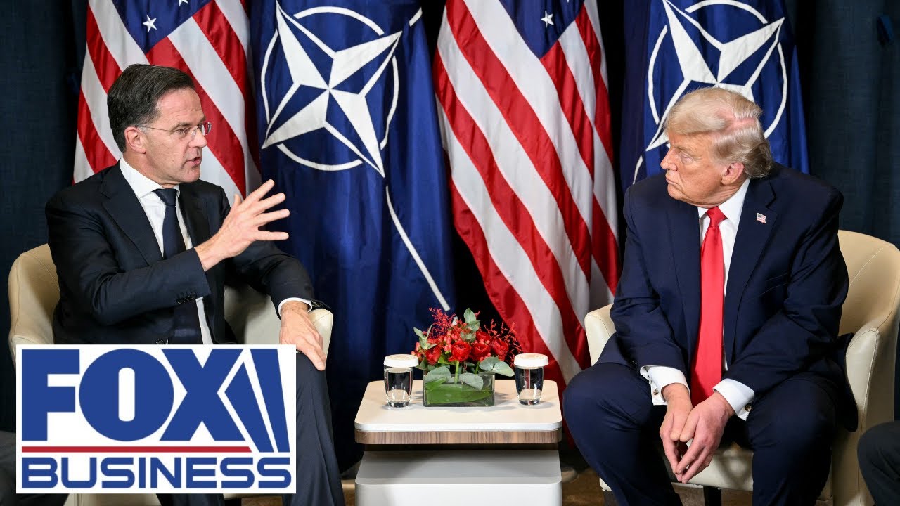 NATO chief not only onboard with Trump — he's 'onboard with reality,' ambassador says