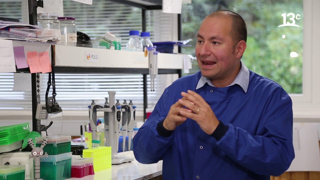 La Universidad Austral y su investigación sobre los Anticuerpos | Todo por la Ciencia