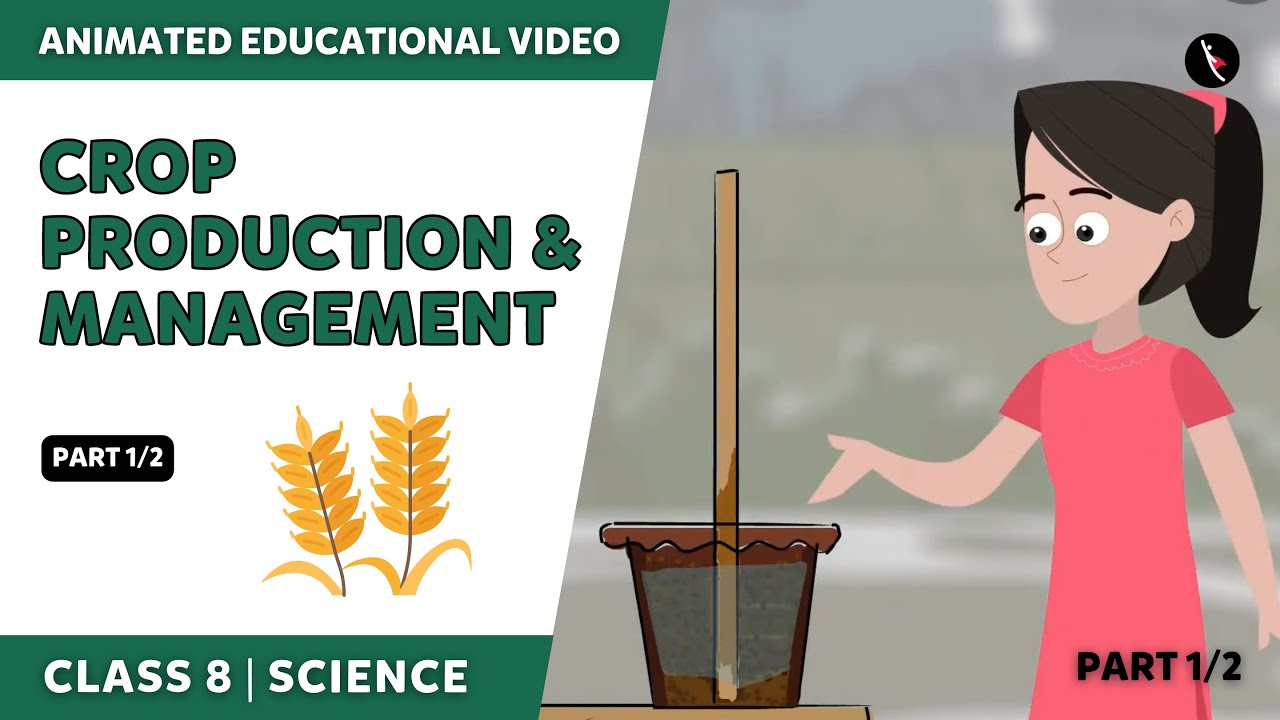 Crop Production And Management | NCERT Science Class 8 Chapter 1 | Part 1/2 | English Explanation