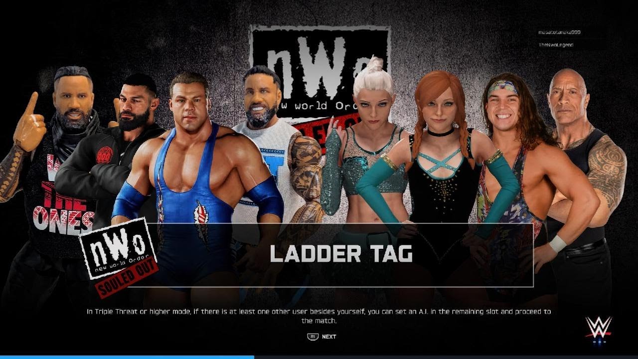 WWE 2K25 4v4 online tornado ladder tag match