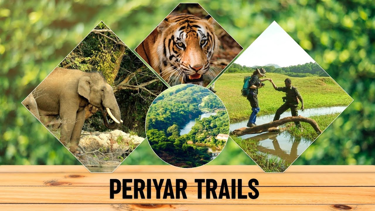 Periyar Trails - Ecotourism Packages of Periyar Tiger Reserve | Nature Walk, Jungle Camp