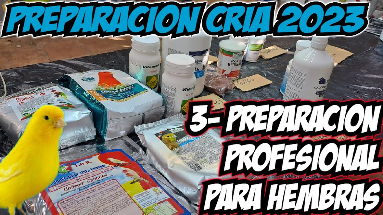 P.CRIA; 3- PREPARACION PROFESIONAL PARA HEMBRAS 2023