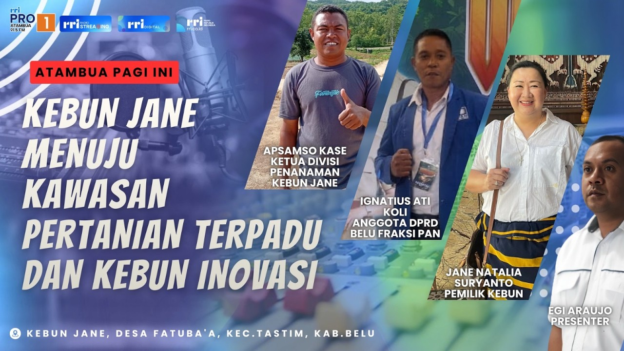 [LIVE] KEBUN JANE MENUJU KAWASAN PERTANIAN TERPADU DAN KEBUN INOVASI || KEBUN JANE BELU