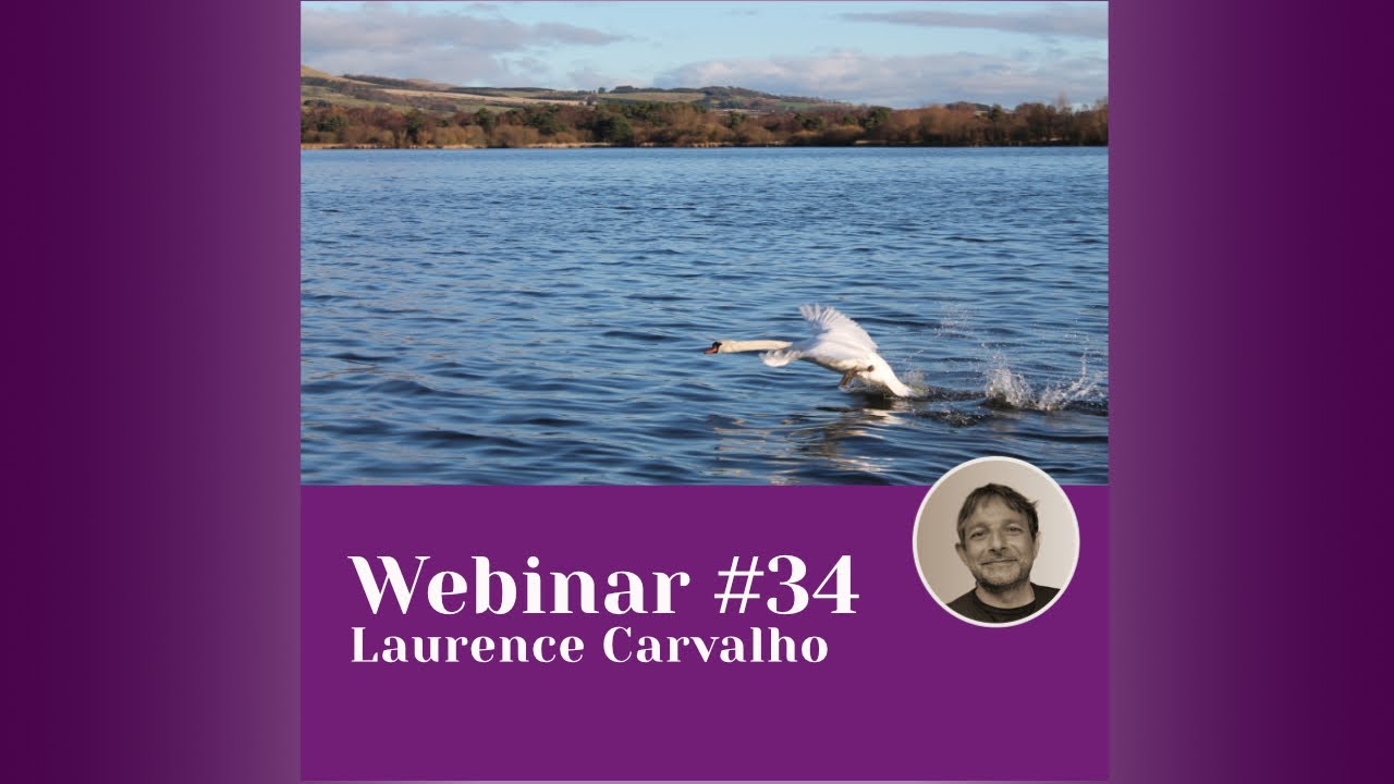 MERLIN webinar #34: Solutions for stressed-out lakes