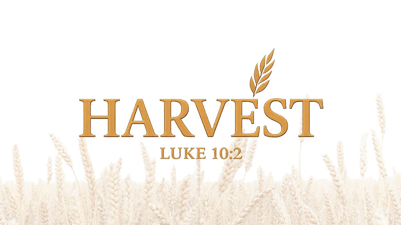 Join Us For Our Sunday Service | Title: See What He Sees | 10:00am