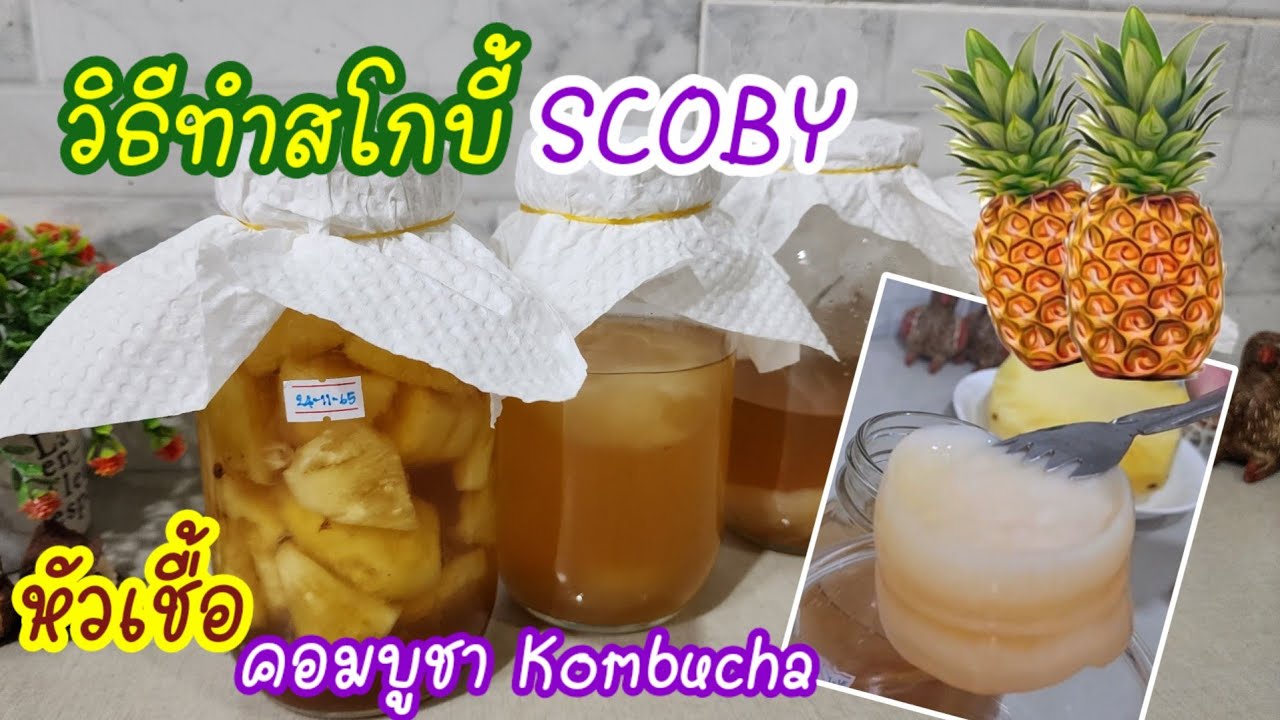 วิธีทำสโกบี้ Scoby หัวเชื้อคอมบูชา ทำง่ายๆ จากสับปะรด Scoby for Kombucha