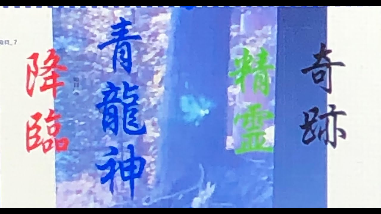 【青龍神様降臨】神社参拝の帰り道、鳥居近くで緑の精霊（青龍神様）に出会い、両目には羽が生えて飛んでいました。石段の反対では風がないのにのに木の葉が揺れて神秘的な場面でした。青龍神様は仕事運や勝運の神