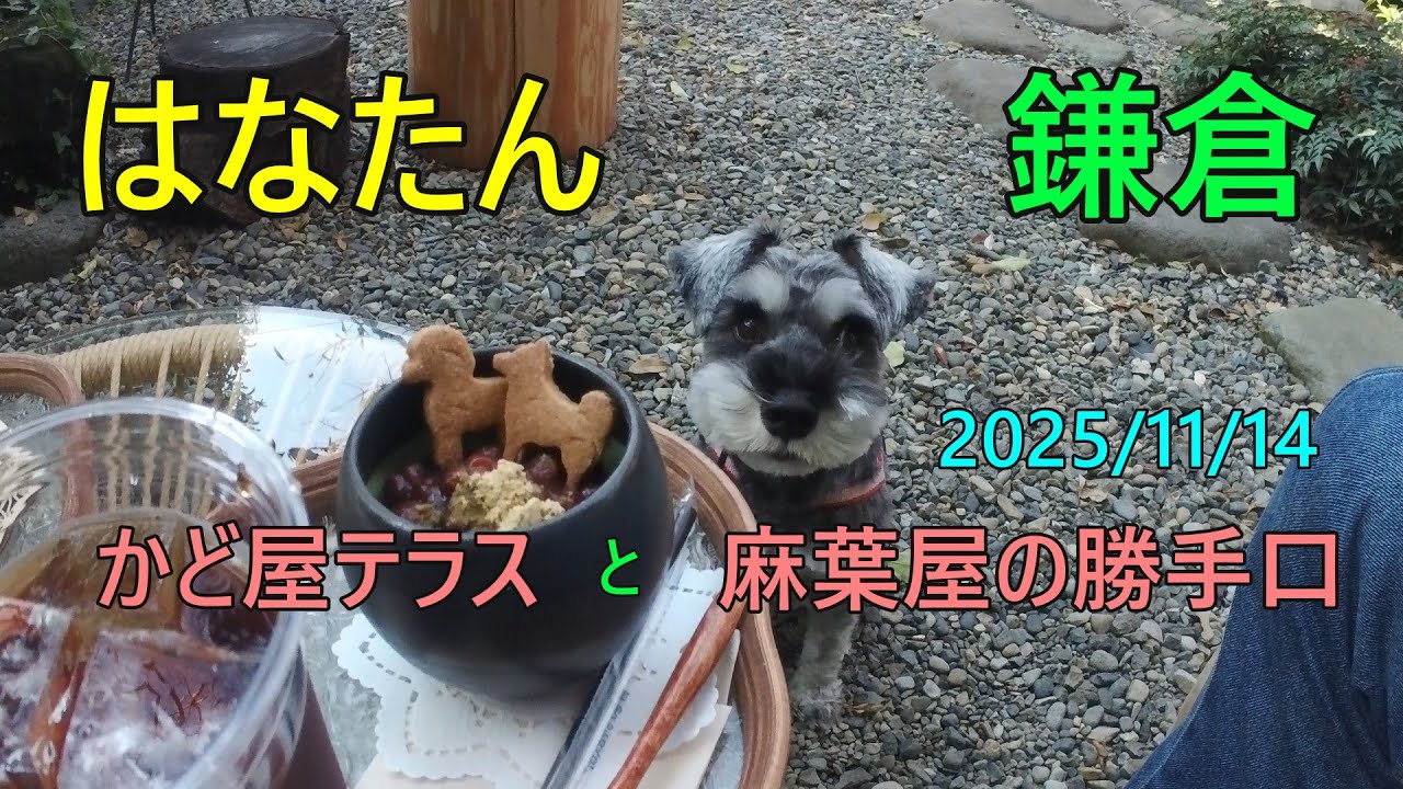 鎌倉 かど屋テラスと、麻葉屋の勝手口
