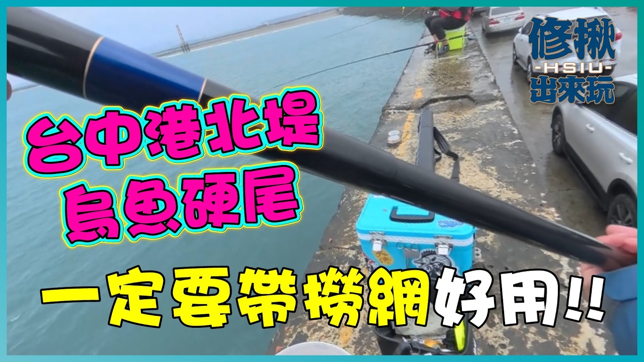 【台中港北堤】超肥美「歐啊」，硬尾也來湊熱鬧！#台中港北堤  #釣魚  #烏仔魚 #硬尾 
