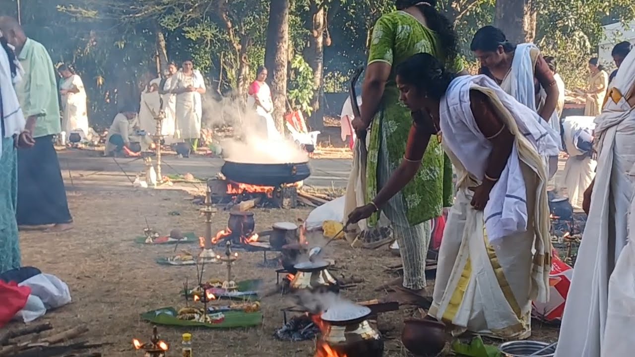 Thai Pongal 2026 |തൈമാസ പൊങ്കാല |Pongal Festival |Nelliparamb sreekrishna swami kshetram nelliparamb