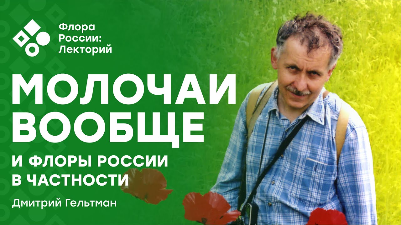 Молочаи вообще и флоры России в частности (Дмитрий Гельтман)