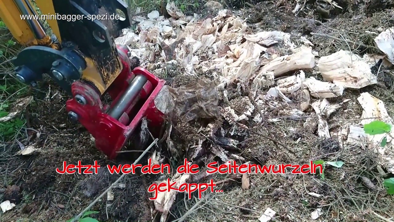 Rodung Baumstumpf Fichte - Lehnhoff MS01 mit  der Wurzelratte  -  Minibagger-Spezi Biebergemünd  -