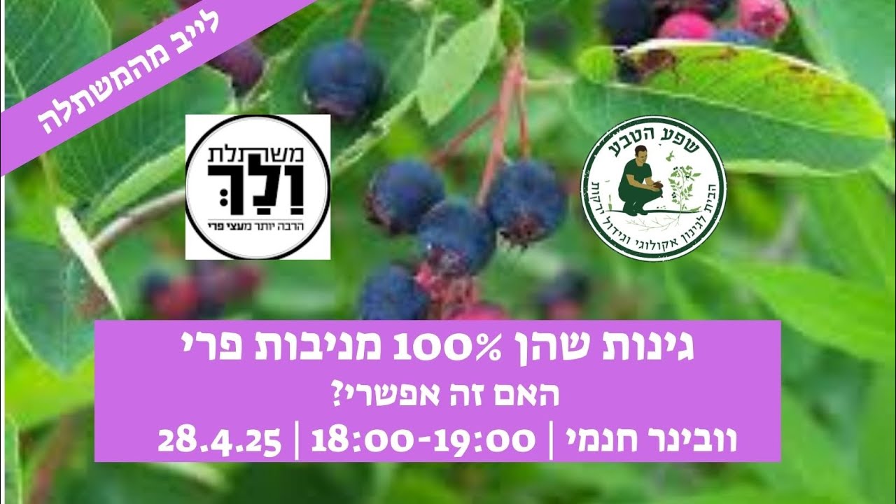 האם אפשר להקים גינה עם 100% צמחים אכילים - וובינר של שפע הטבע עם נועה ולך