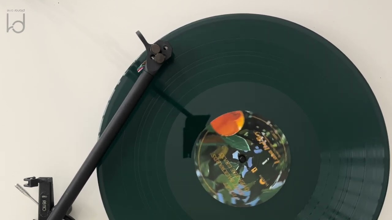 Lana Del Rey - LA Who Am I To Love You (Vinyl Video)