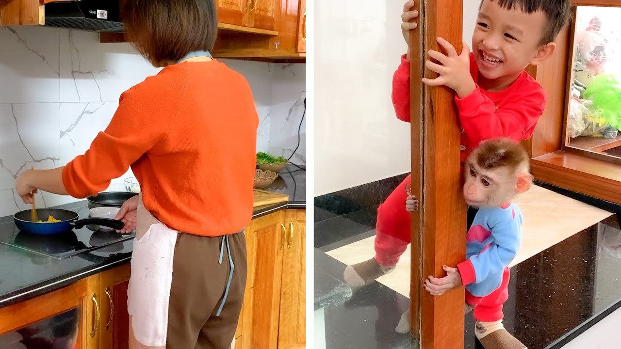 Monkey Puka and Khang secretly watched Mom fry rice