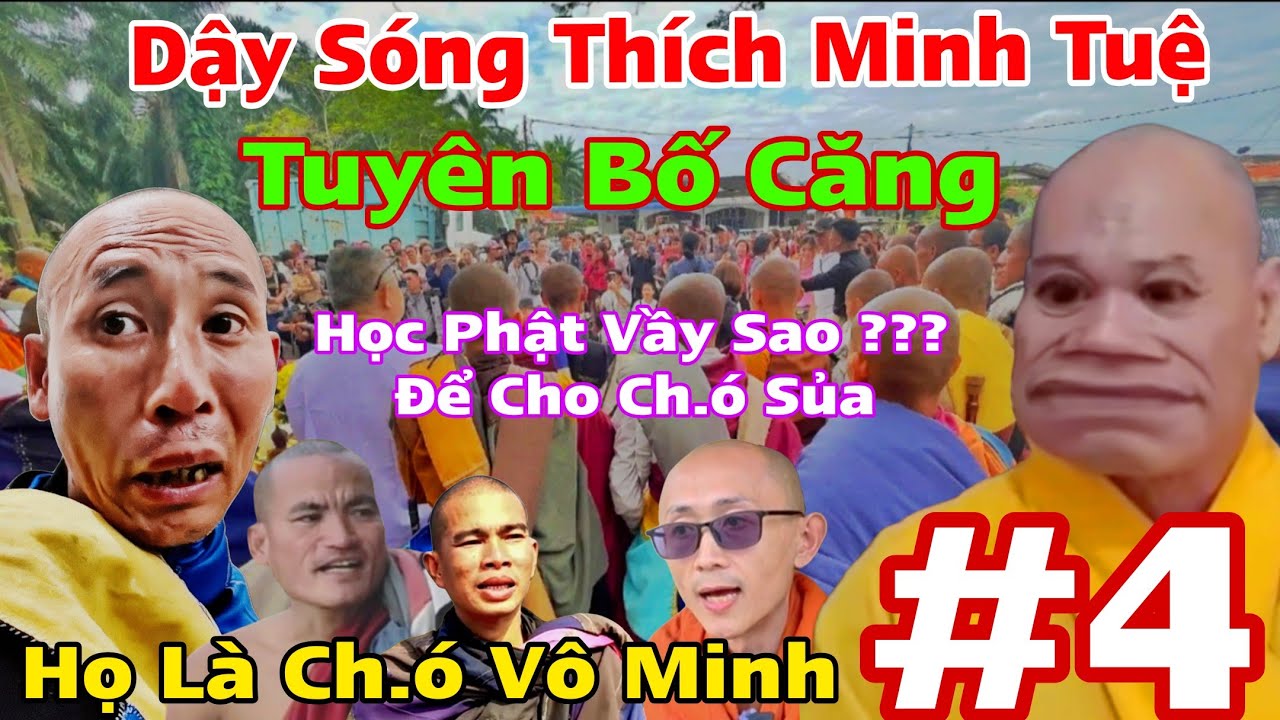 #4. Dậy Sóng Thích Minh Tuệ Tuyên Bố Căng Họ Là CH.Ó Vô Minh Học Phật Đây Sao???