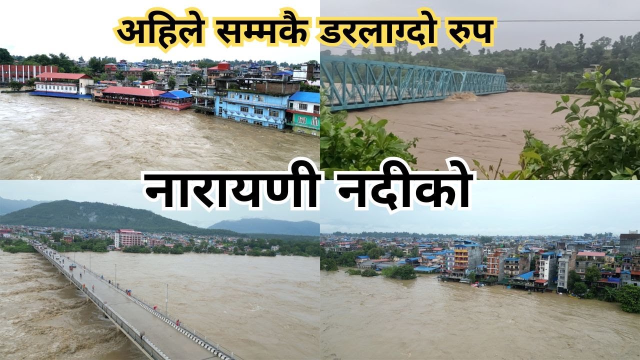 नारायणी नदीले सिमा नाध्यो अहिले सम्मकै डरलाग्दो रुप flood in narayani river 2081/06/12