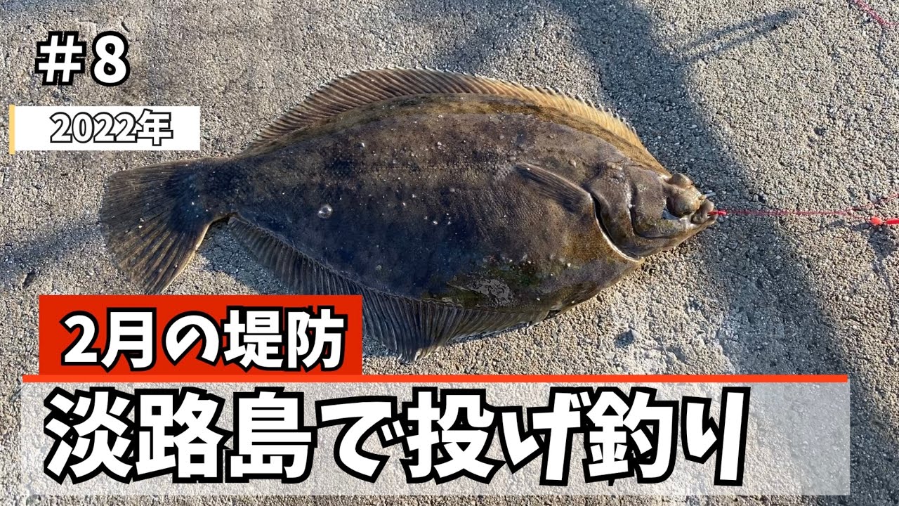 2月の堤防　極寒の堤防で釣れた魚種は？　【投げ釣り】#8