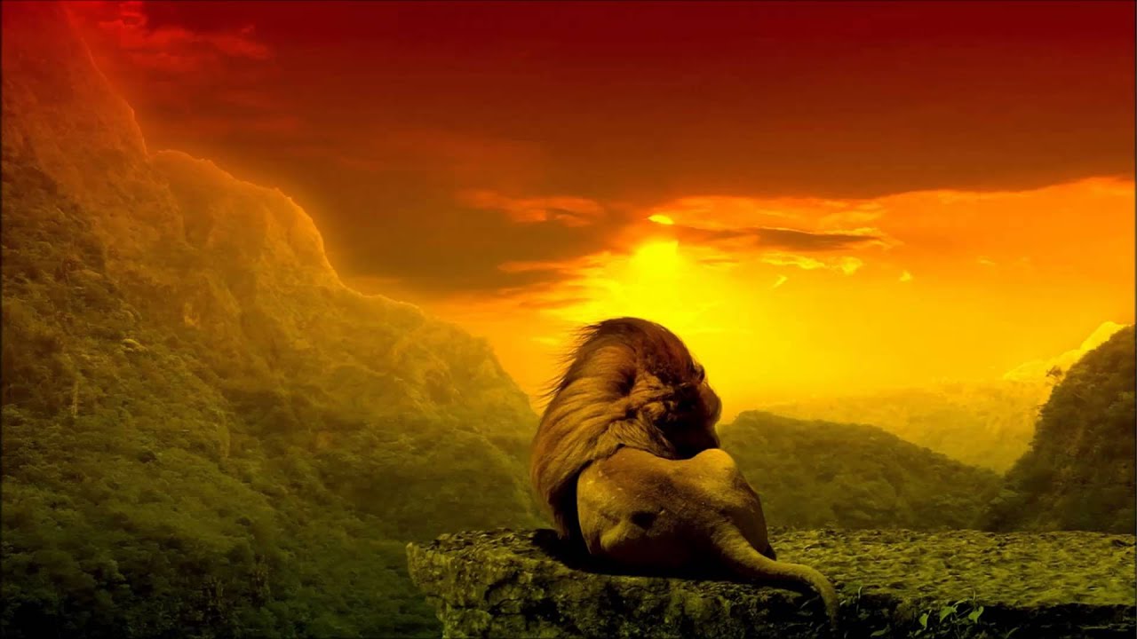 Katchafire - One stop shop