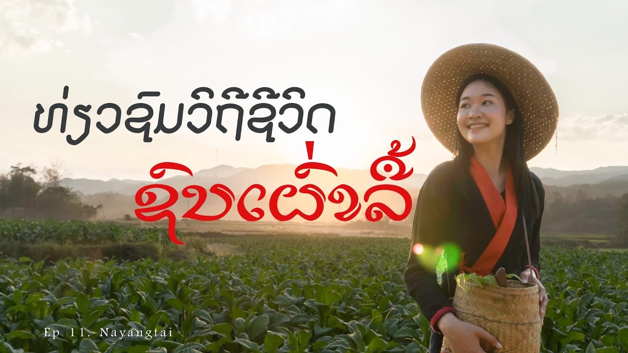 ตามติดชีวิตสาวลาวฉบับวิถีชีวิตชนเผ่าลื้อกับมอนนี่ | 30 Day Adventure EP.11 NAYANG