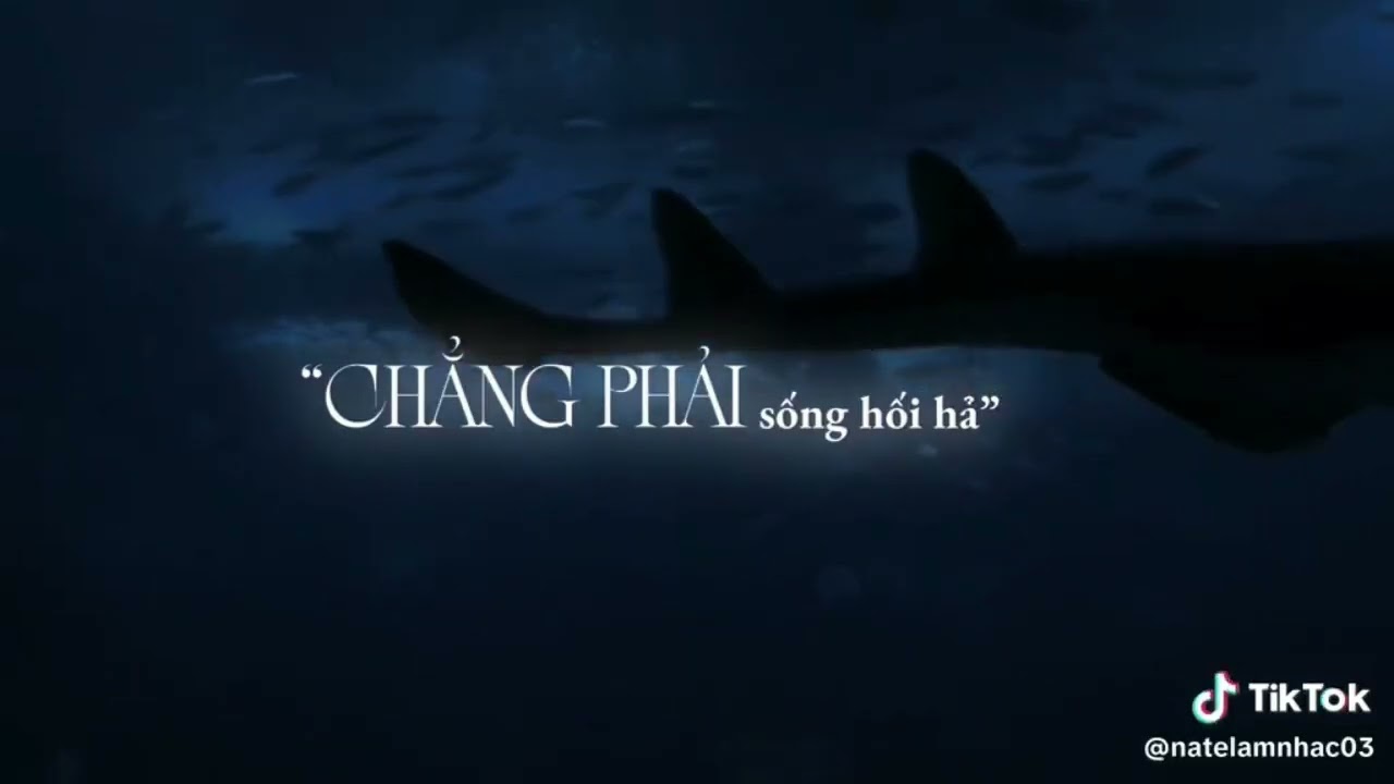 [Video nhạc tiktok] lTổng hợp các bài hát trong năm 2025 vừa qua,đã hot hit trong năm nay l 