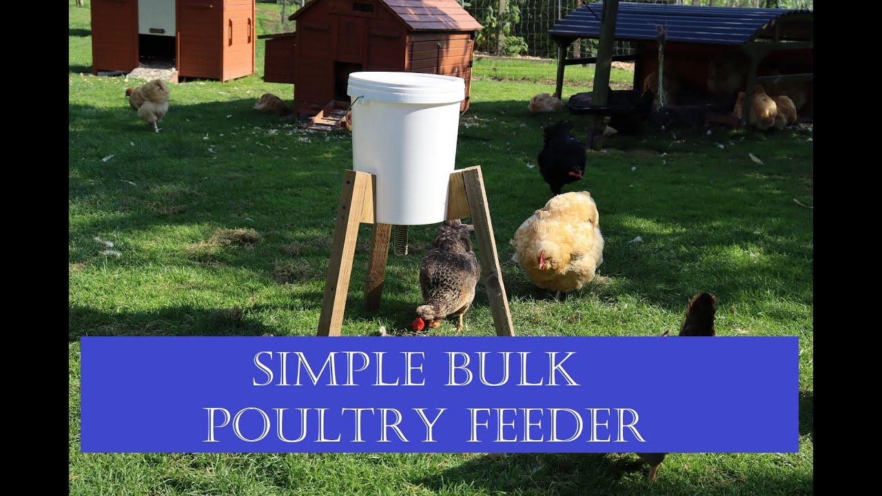 Homemade Poultry Feeder (chicken, duck, turkey and goose)