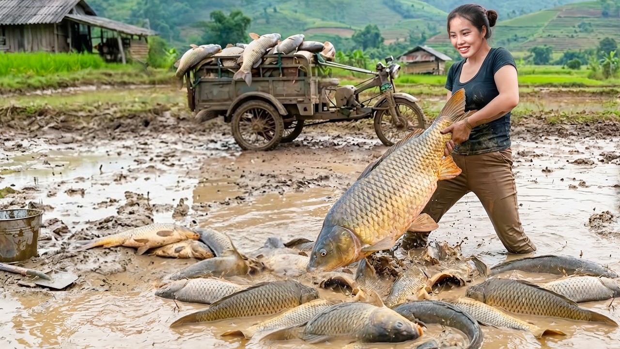 Catching a Big School of Fish for the Market | Warm Bath and Nutritious Porridge for My Kids