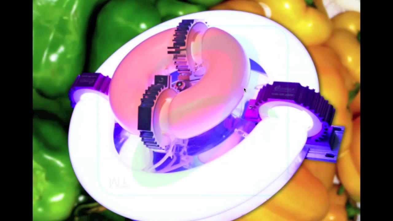 REDshift Grow Light - details on PAR light and induction lamps - reasons why