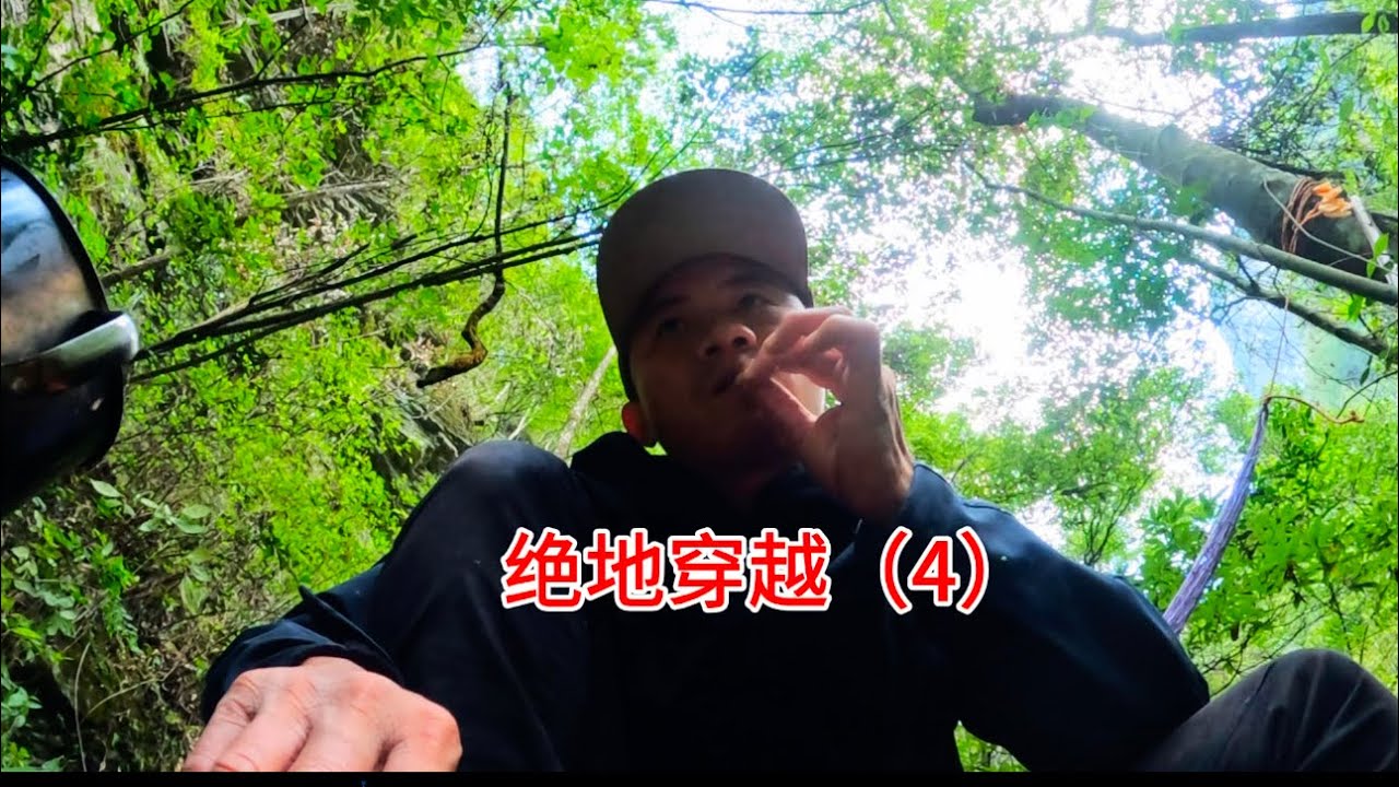 行至森林腹部，和野猪四目相对，当时就是吓得我腾腾振