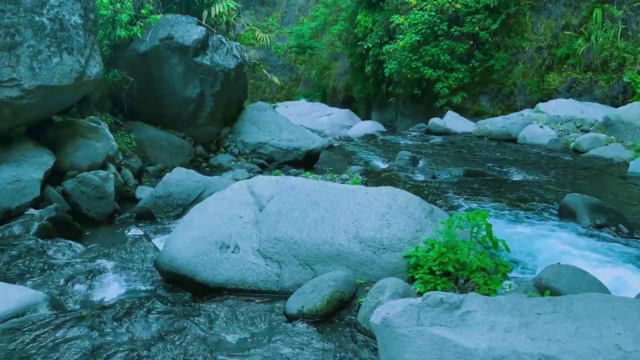 Mountain Stream Flow for Calm Mind, Mindfulness, Reading