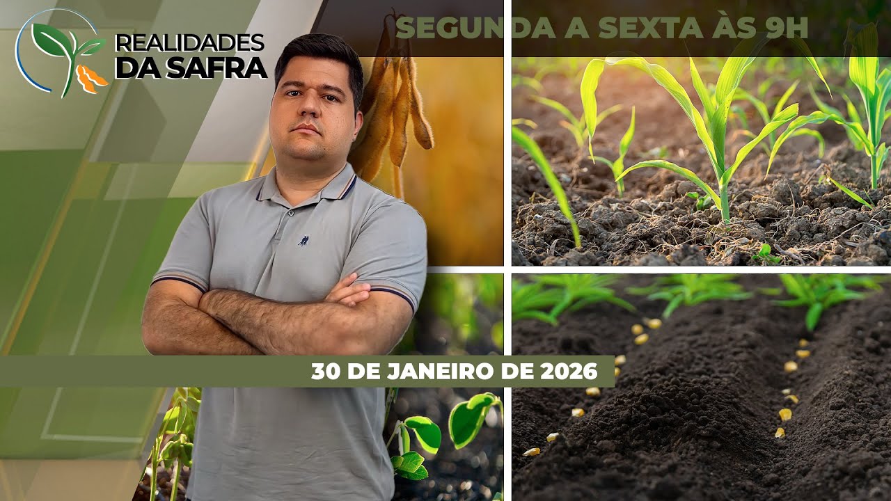 Chuvas trazem alerta para a colheita em Primavera do Leste/MT e falta de precipitações...