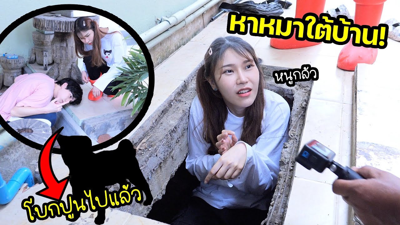 เจอหมาติดอยู่ใต้พื้นบ้าน! ต้องทุบบ้านเข้าไปช่วย