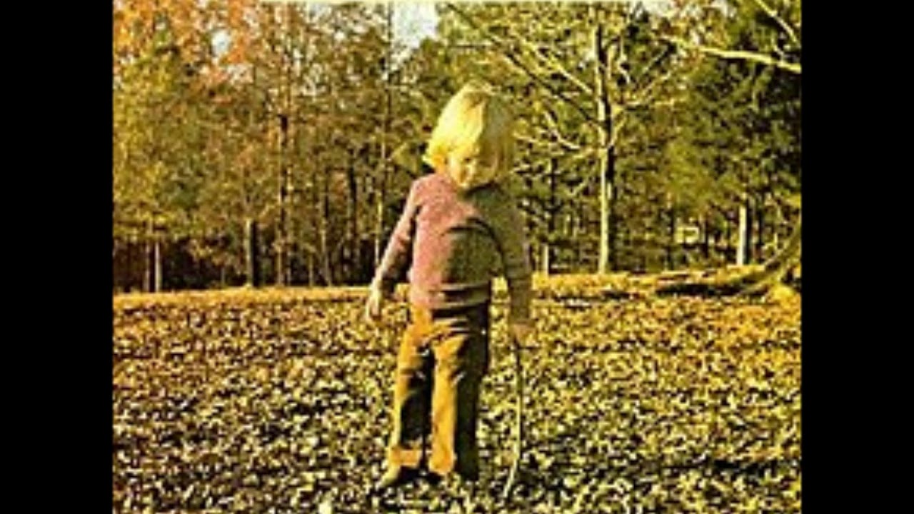 Allman Brothers Band   Ramblin' Man with Lyrics in Description