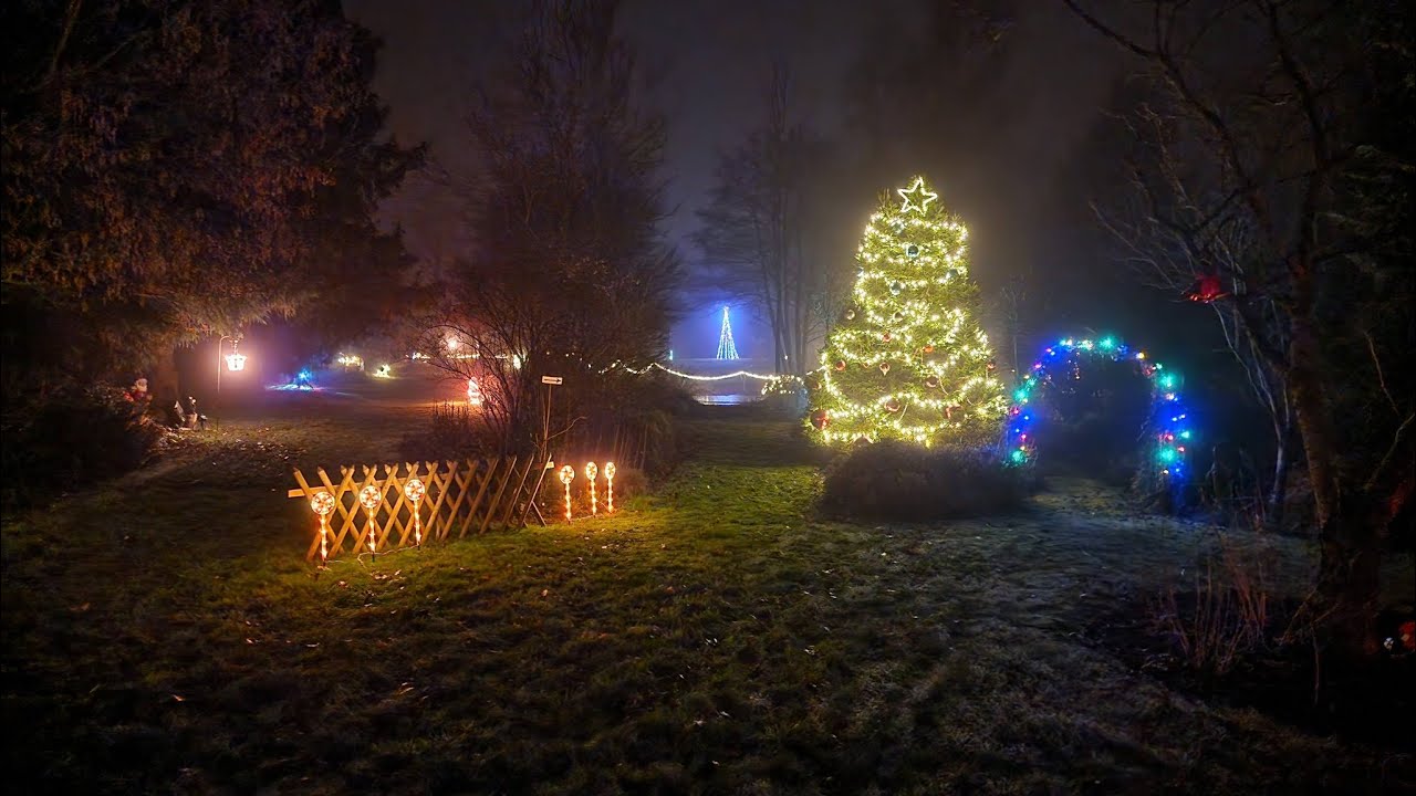 Lichtroute im Luitzenpark (Möhlenwarf), 20.12.2025