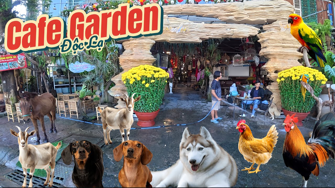 Bất Ngờ Phát Hiện Quán Cafe Garden ĐỘC LẠ Tại Tp HCM 
