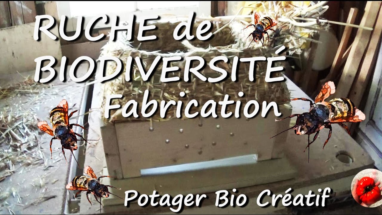 RUCHE de BIODIVERSITE Fabrication PBC 53