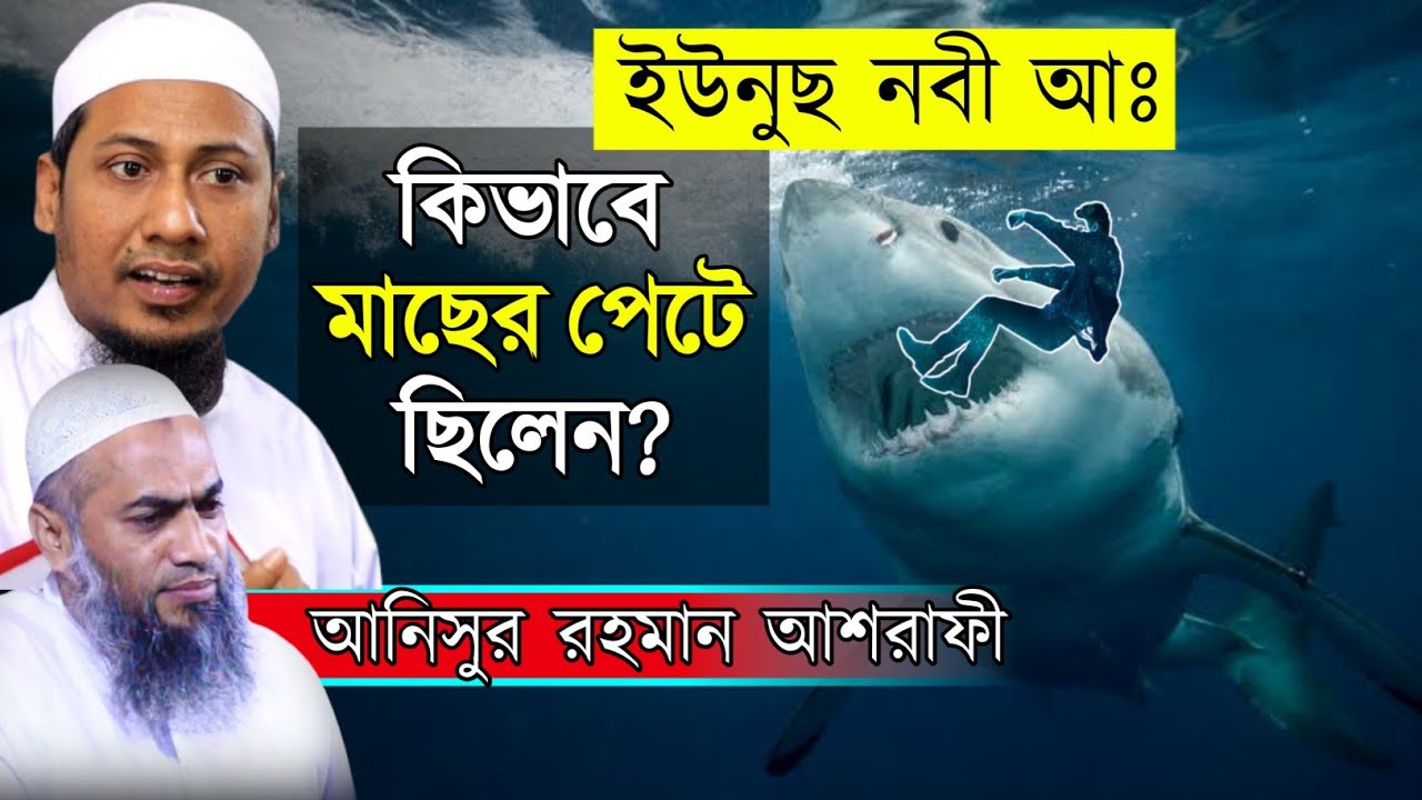 মাছের পেটে ইউনুছ আঃ কিভাবে টিকে ছিলেন || Anisur rahman ashrafi