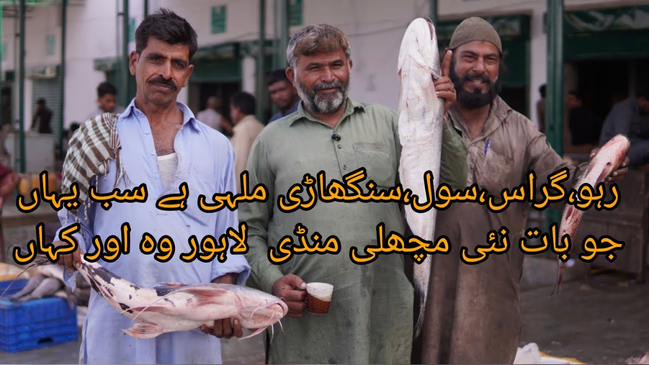 Fish Market (new).. How to buy Rahu,grass carp,sole,mali, khaggay,tilapia,singhari,and bachwa.🐟❤️.