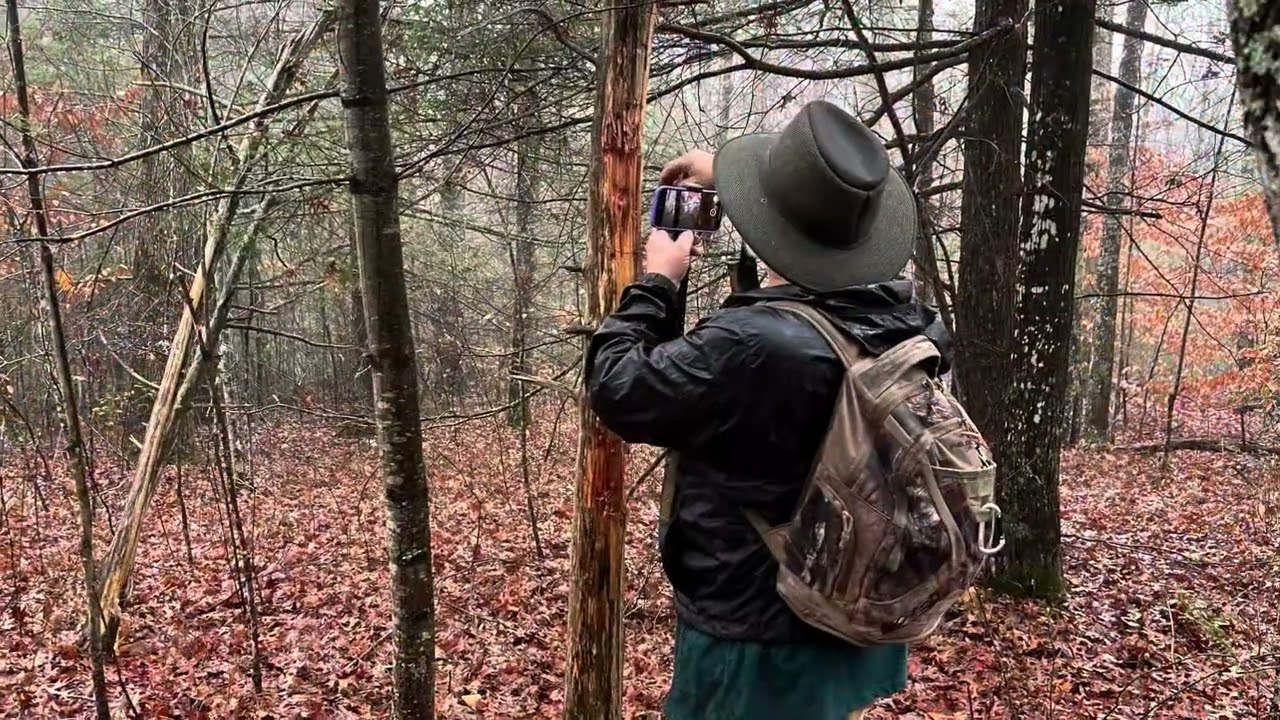Hiking Beyond Guy Kidd Road for a trail to No Business on a rainy December day in Big South Fork.