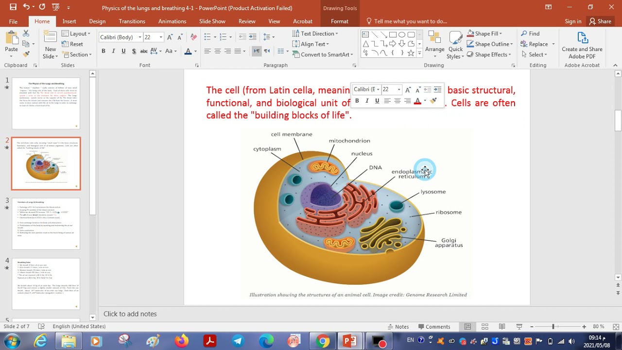 -' مرحله اولى -طب اسنان -Lungs and Breathing- 1