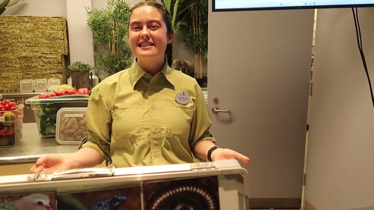 2026 Nutrition Assistant Cast Member Conservation Station Walt Disney World Animal Kingdom