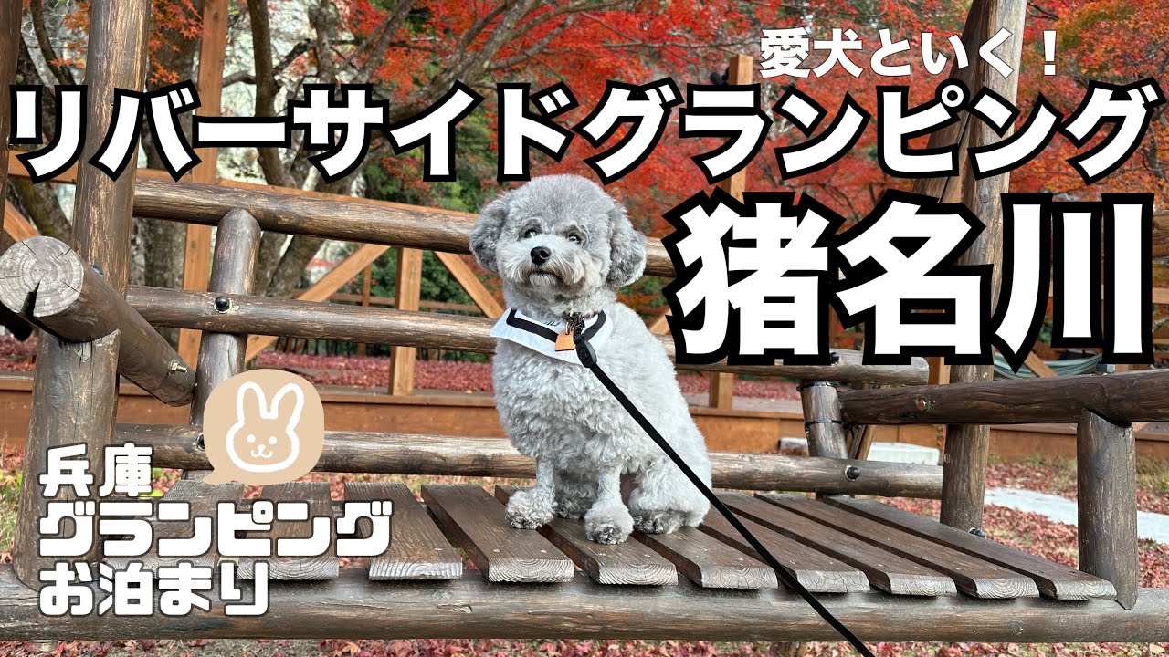 【愛犬と泊まれる】グランピング◎兵庫◎リバーサイドグランピング猪名川◎vlog