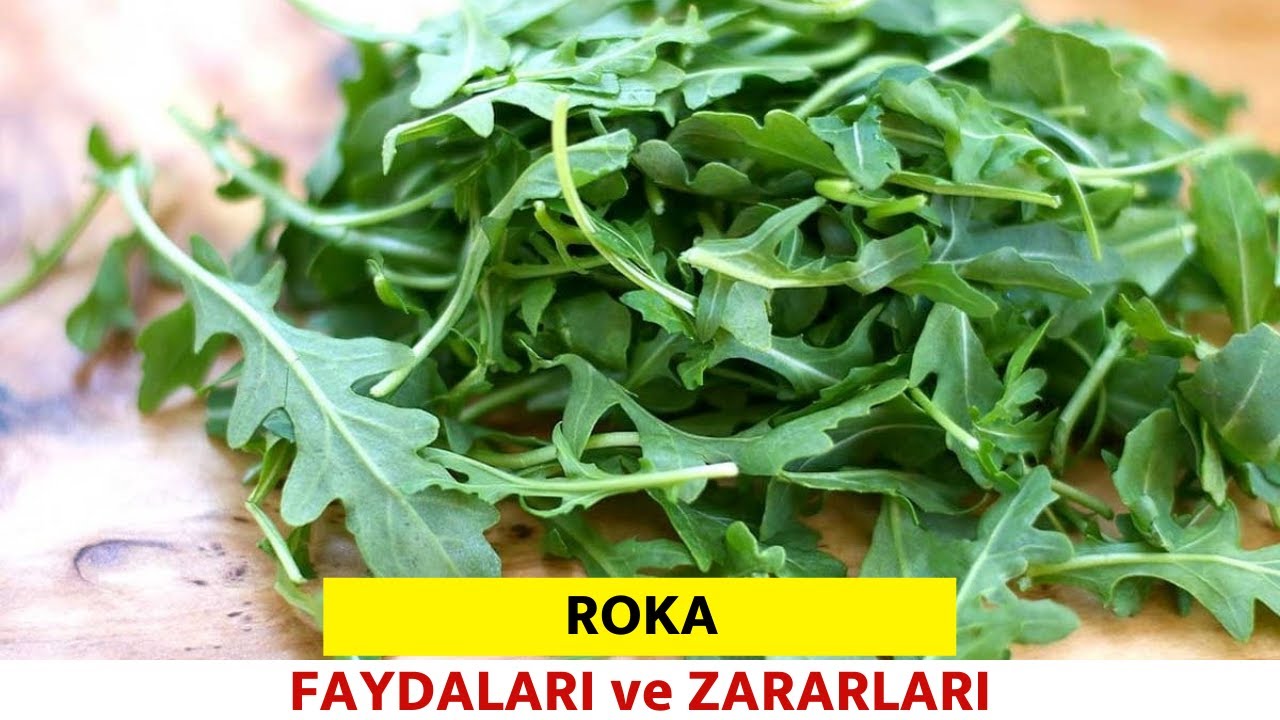 Roka Nedir? Faydaları Ve Zararları Nelerdir? - Pratik Bilgi Bankası