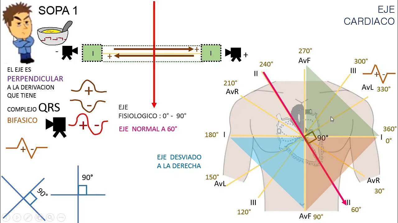 Fisiología clase 18: EJE CARDIACO