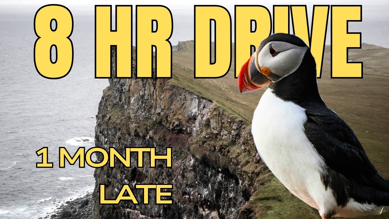 We Drove 8 Hours for Puffins... We Were Too Late