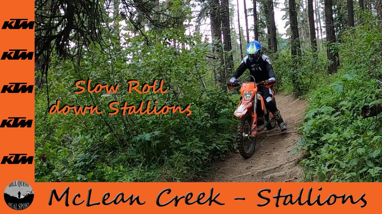 Slow Roll Down Stallions - E2524