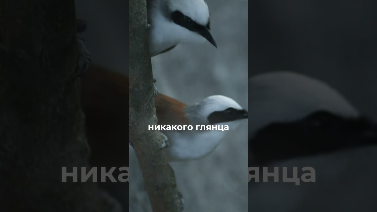 Люкс нового поколения &mdash; это приватность, а не демонстрация.