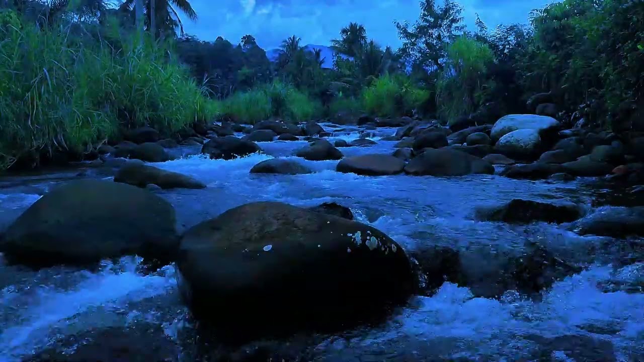 Fall Asleep Tonight with Gentle Flow Forest River Sounds Sleep ASMR for Deep Sleep Comfort