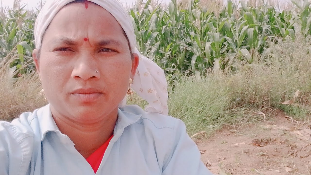 शितल सोनवणे लाइव्ह आहे!